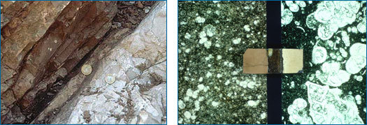 O limite do Cretáceo-Terciário, conforme registado nas rochas em Gubbio, Itália. À esquerda, as rochas do Terciário tardio parecem mais escuras — quase laranja — e as rochas  do início do Cretáceo parecem mais claras quando vistas a olho nu. À direita, a ampliação revela alguns tipos diferentes de microfósseis nas camadas do Terciário, mas uma grande variedade na amostra do Cretáceo (no extremo à direita).