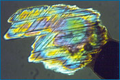 Os dois conjuntos de lamelas planares neste grão de quartzo da fronteira K-T na Bacia Raton, Colorado, são forte evidência de que a sua origem se deve a um impacto
