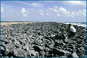 Estes montes de entulho devidos a um tsunami encontrados ao longo da costa do sudeste de Bonaire não são do limite K-T, mas sugerem qual o tipo de detritos devidos a um tsunami devemos esperar identificar perto do limite K-T
