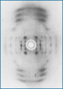 padrão de difração de raios-X fotografado por Gosling e Wilkins, em 1950