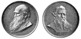 Ambos os lados da medalha Darwin-Wallace atribuída a Alfred Russel Wallace na reunião de 1908 da Linnean Society de Londres. O prémio foi atribuído no 50º aniversário da apresentação conjunta que Darwin e Wallace fizeram para a Royal Society de Londres. 