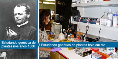 Gregor Mendel e um laboratório de estudo da evolução das plantas