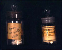 Frascos contendo as amostras de alta qualidade de ADN que Franklin obteve de Wilkins