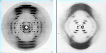 Padrões de difração de raios-X para as duas formas de ADN