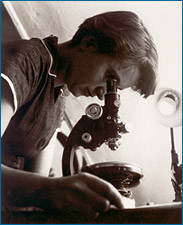 Rosalind Franklin a trabalhar em 1954