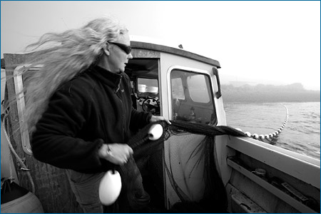 Alexandra Morton captura salmão bebé para verificar a presença de piolhos do mar