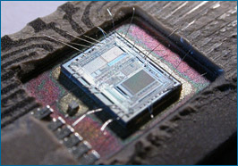 Um microchip