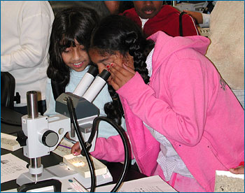 Jovens cientistas procuram microfósseis