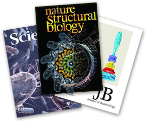 Algumas revistas destacando novas pesquisas sobre flagelos bacterianos
