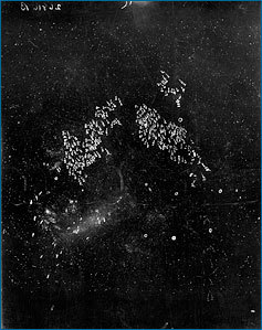 Uma chapa fotográfica usada por Leavitt no seu estudo de estrelas variáveis