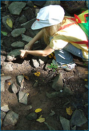 Uma criança curiosa tenta descobrir algo debaixo de uma pedra