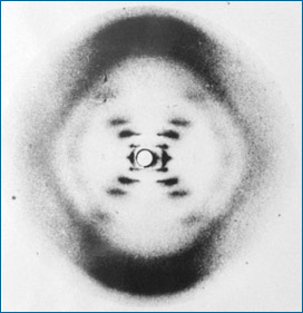 foto de difração de raios-X de ADN feita por Wilkins e Franklin, que serviu como uma linha de evidência chave para descobrir a estrutura do ADN