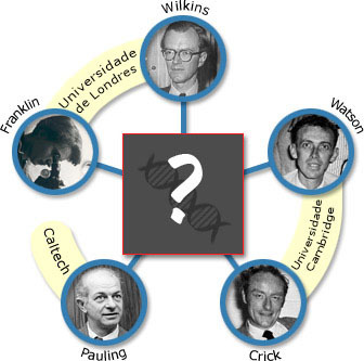 Alguns dos atores mais importantes na descoberta da estrutura do ADN