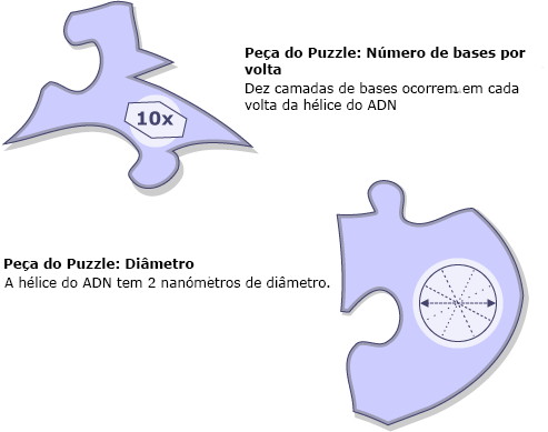 O diâmetro da hélice do ADN é 2 nanómetros. Dez camadas de bases ocorrem em cada torção da hélice.