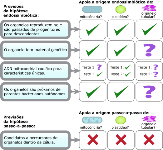 comparação de hipóteses