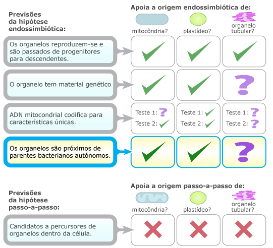 comparação de hipóteses