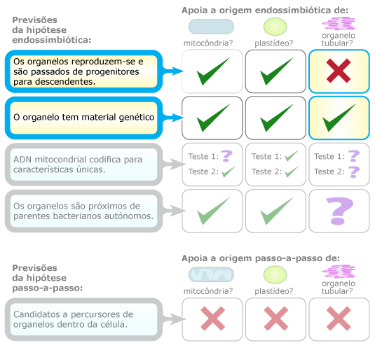 comparação de hipóteses