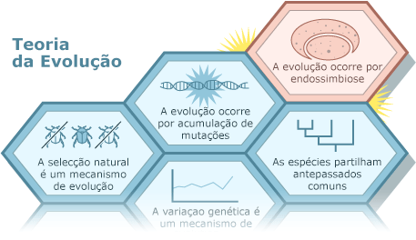 a endossimbiose e a teoria da evolução estabelecida