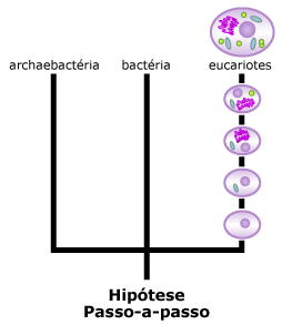 step-by-step hypothesis