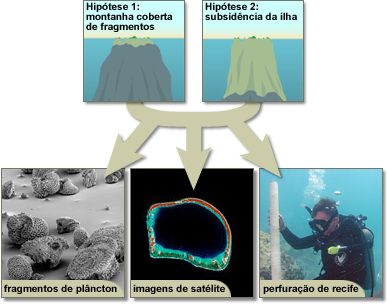 Os cientistas frequentemente consideram várias ideias em simultâneo e testam essas ideias de muitas formas diferentes.