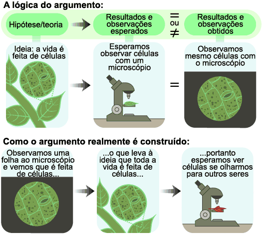 hipótese, expetativa, e observação realmente obtida