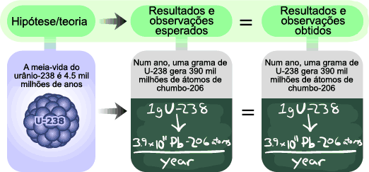 A hipótese, a expetativa e os resultados reais