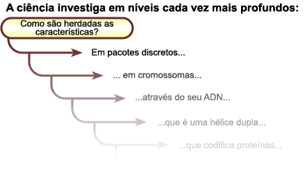 O processo da ciência é iterativo