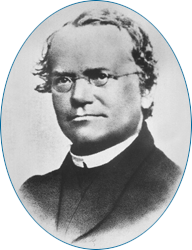 Gregor Mendel