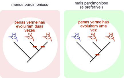 os cientistas são mais propensos a confiar em ideias que são mais parcimoniosas